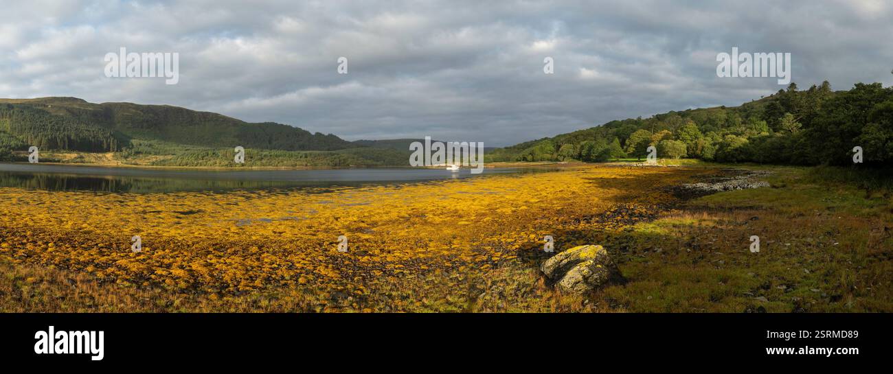 Loch Teacuis, à la lumière du matin, Rahoy, Morvern, Écosse. Banque D'Images Loch Teacuis, à la lumière du matin, Rahoy, Morvern, Écosse. Banque D'Images