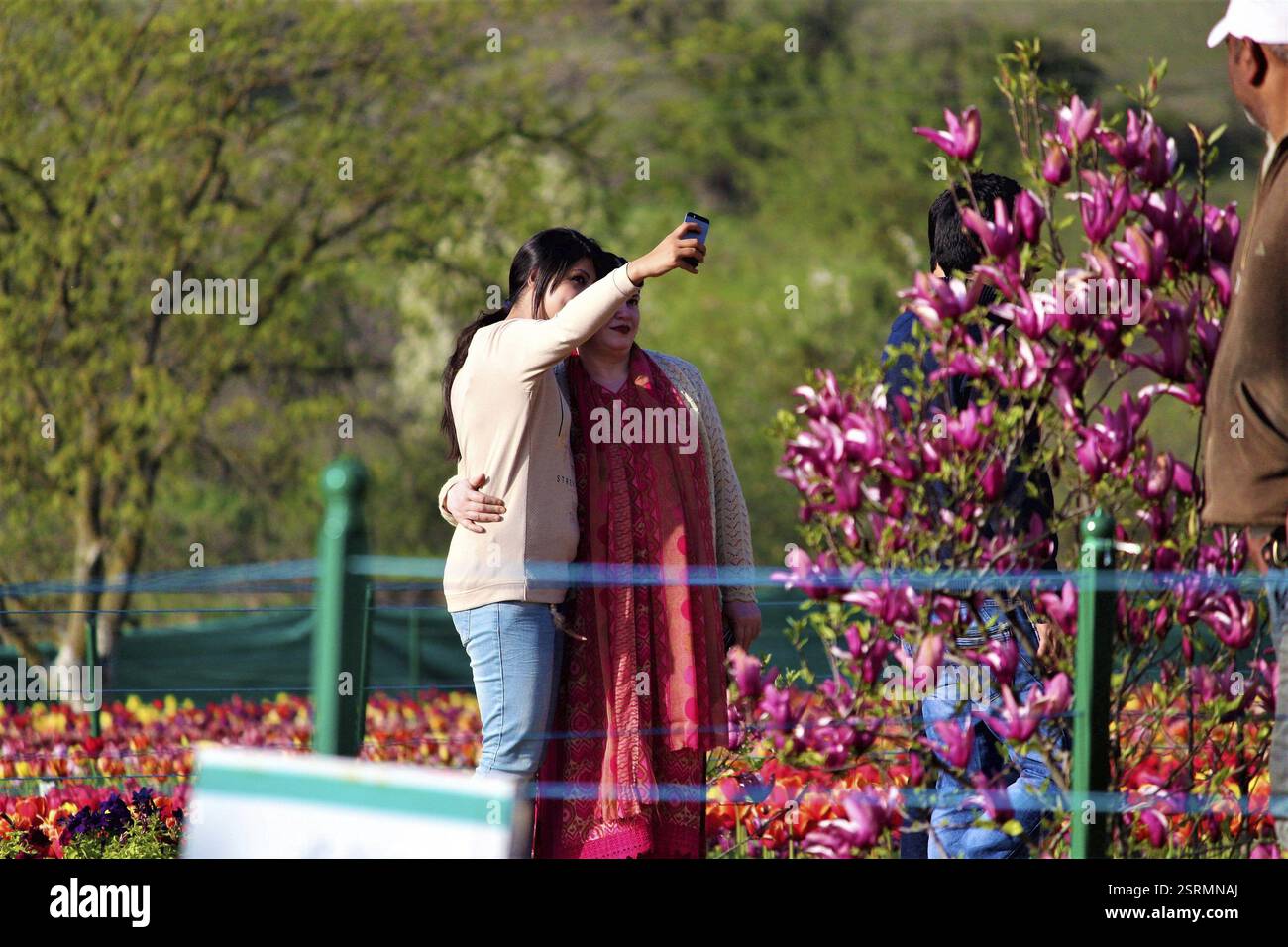 Femme prenant selfie dans Indira Gandhi Memorial Tulip Garden, Cachemire, Inde, Asie Banque D'Images