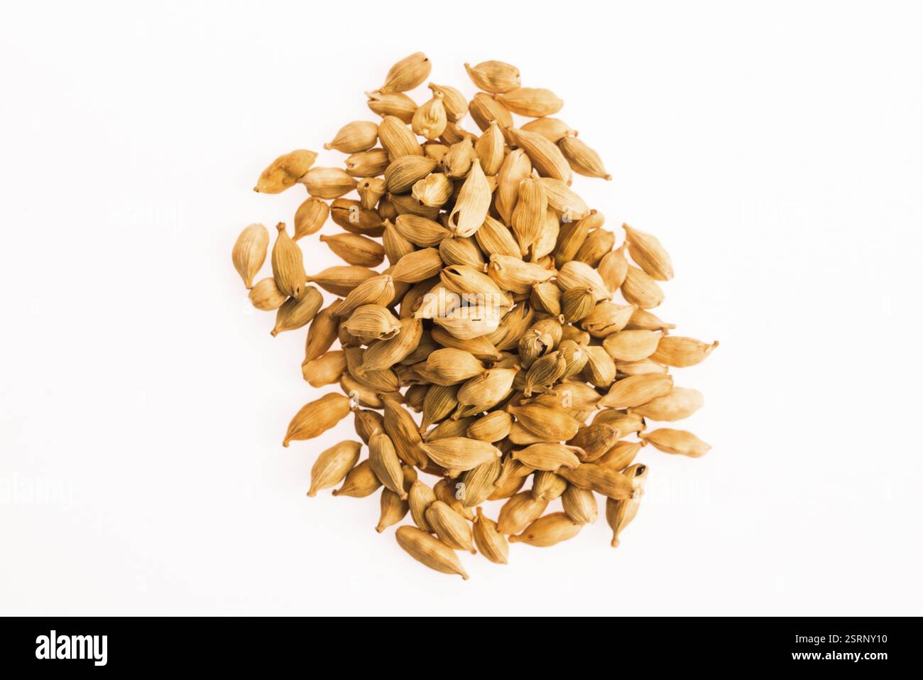 Gousses de cardamome sur fond blanc Banque D'Images