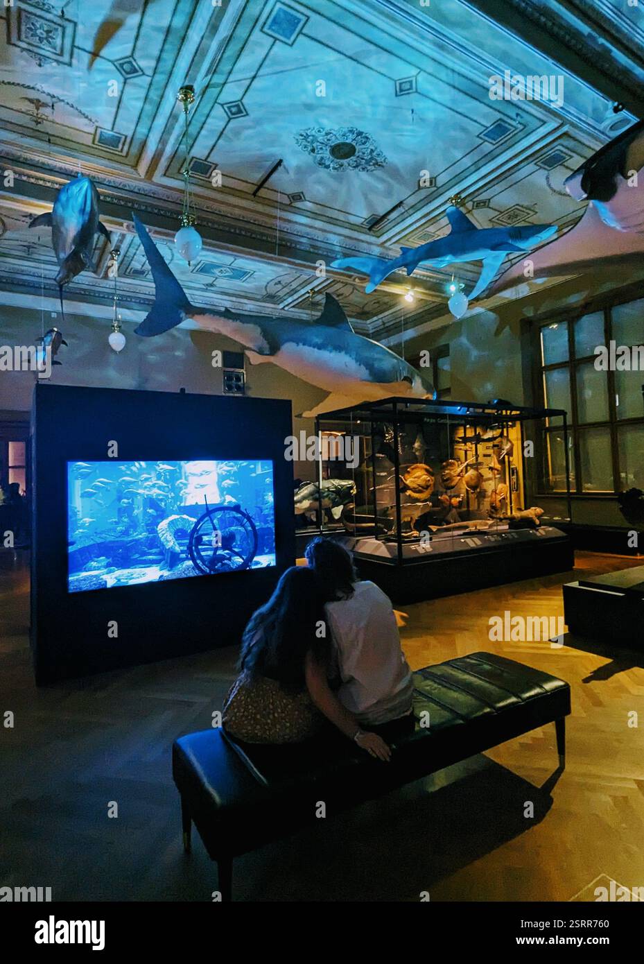 Une plongée immersive dans les merveilles des profondeurs - le Musée national de Prague transforme l'histoire et la vie marine en une expérience fascinante. - Image de stock capturée avec un smartphone