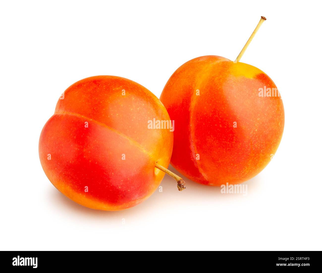 Chemin prune isolated on white Banque D'Images