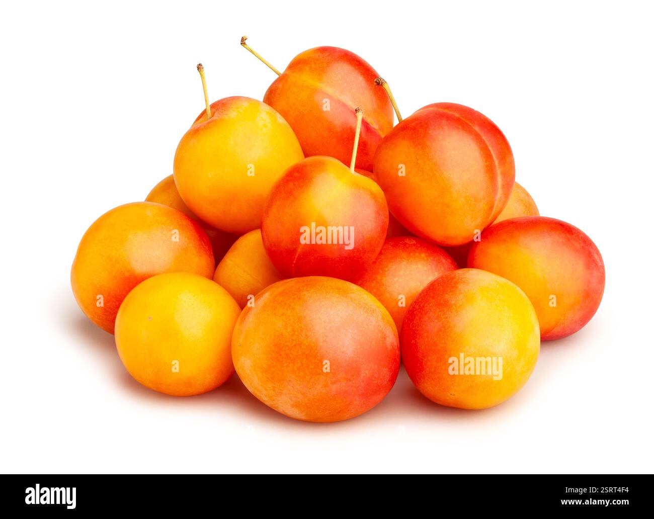 Chemin prune isolated on white Banque D'Images