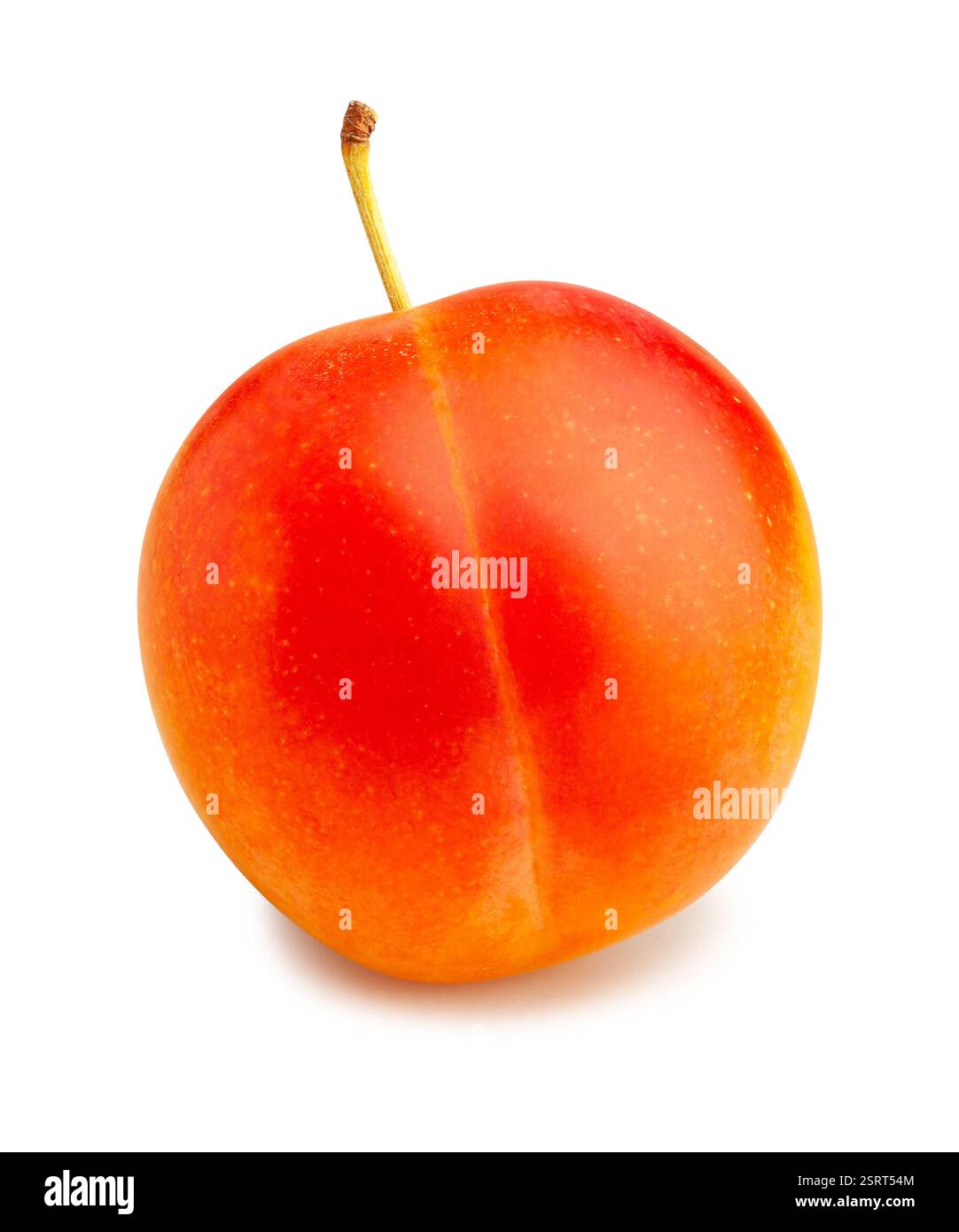 Chemin prune isolated on white Banque D'Images