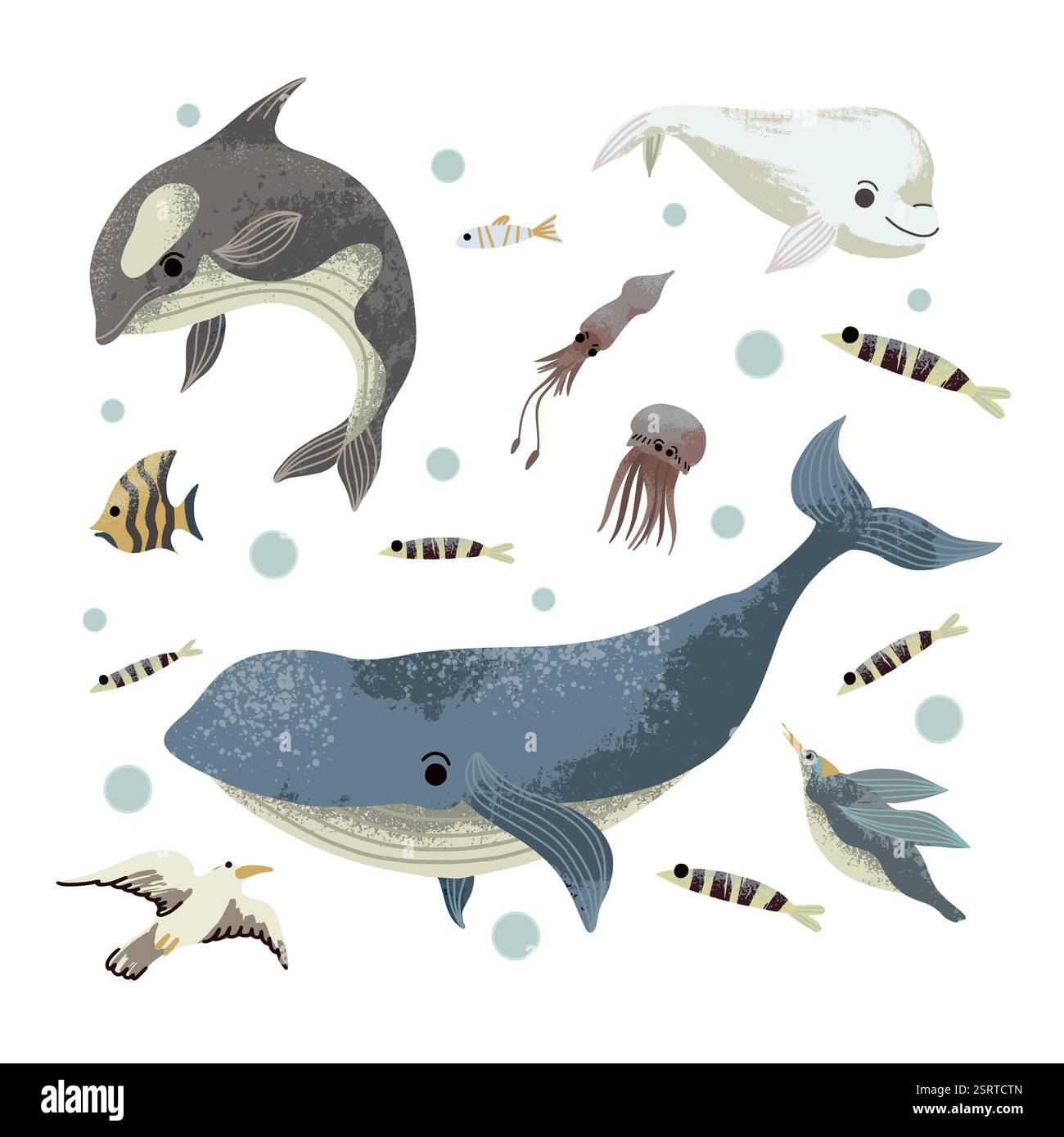 Habitants de la mer tels que les poissons, les méduses et c. vecteur. Illustration de Vecteur