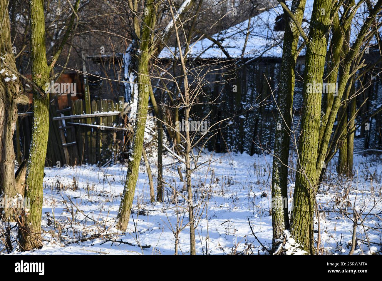Paysage aérien dans la vallée de Phong Nam, province de Cao bang, Vietnam avec rivière, nature, rizières, belle destination dans le nord du Vietnam. Voyage an Banque D'Images