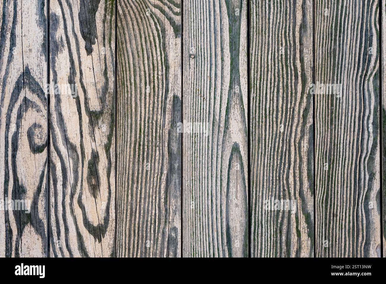 Gros plan de planches de bois altérées disposées en lignes verticales. Le bois présente des motifs de grain et des textures distincts, soulignant la beauté naturelle Banque D'Images