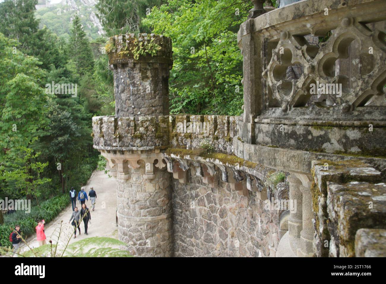 Sintra, Portugal. Les montagnes verdoyantes s'élèvent de façon spectaculaire de la plaine côtière, leurs pentes couvertes d'une tapisserie vibrante d'eucalyptus et de pin pour Banque D'Images