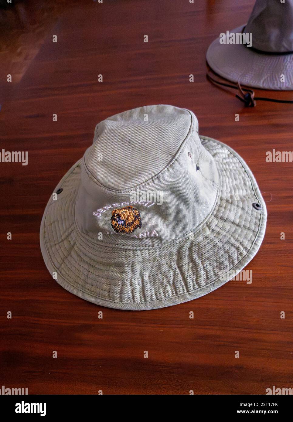 Safari Hat Serengeti, Tanzanie Banque D'Images