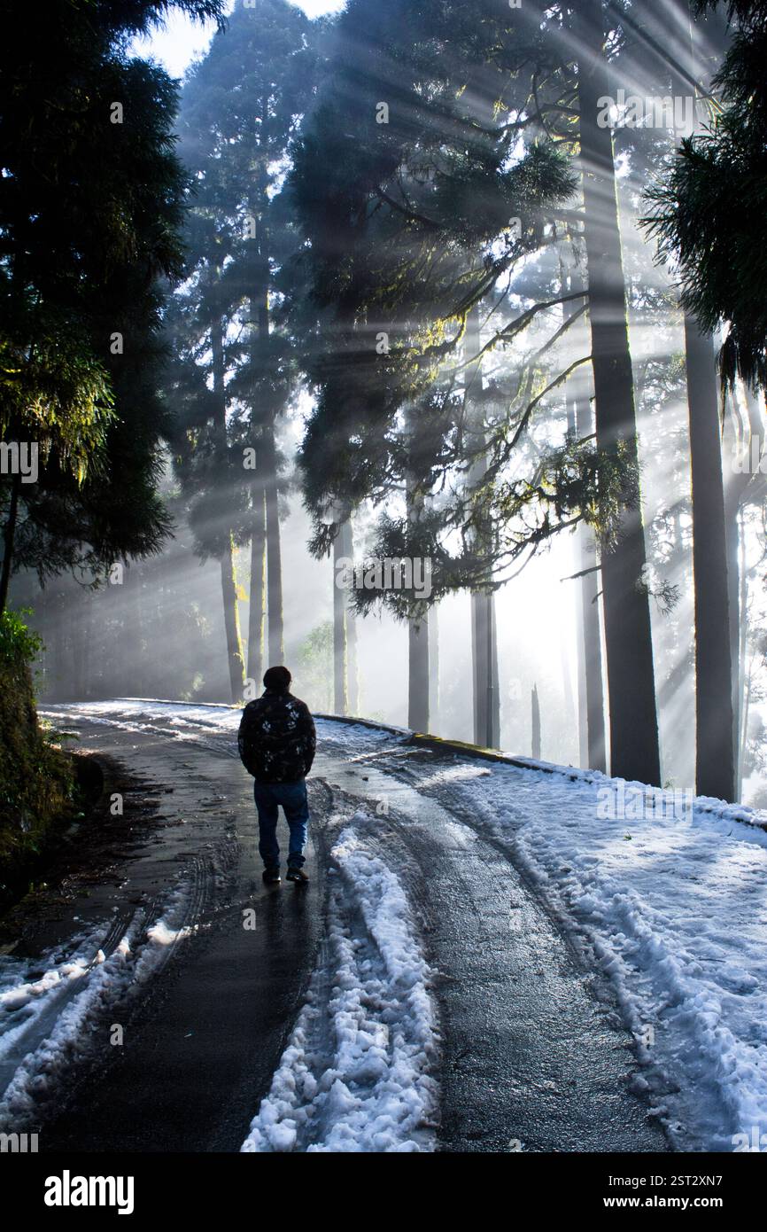 Un marcheur solitaire. Banque D'Images