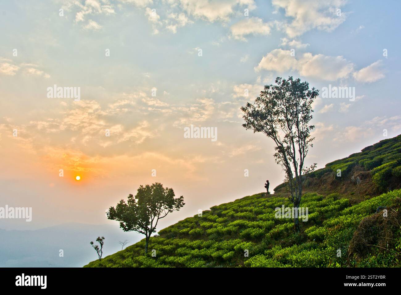 'Dans la lueur tranquille du coucher du soleil, un homme se tient sur la colline - silencieux, libre, et un avec la lumière qui s'estompe.' Banque D'Images