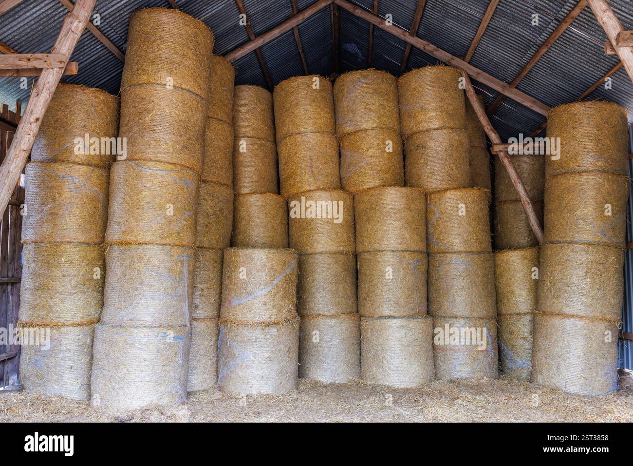 Balles de foin empilées stockées dans une ancienne grange Banque D'Images