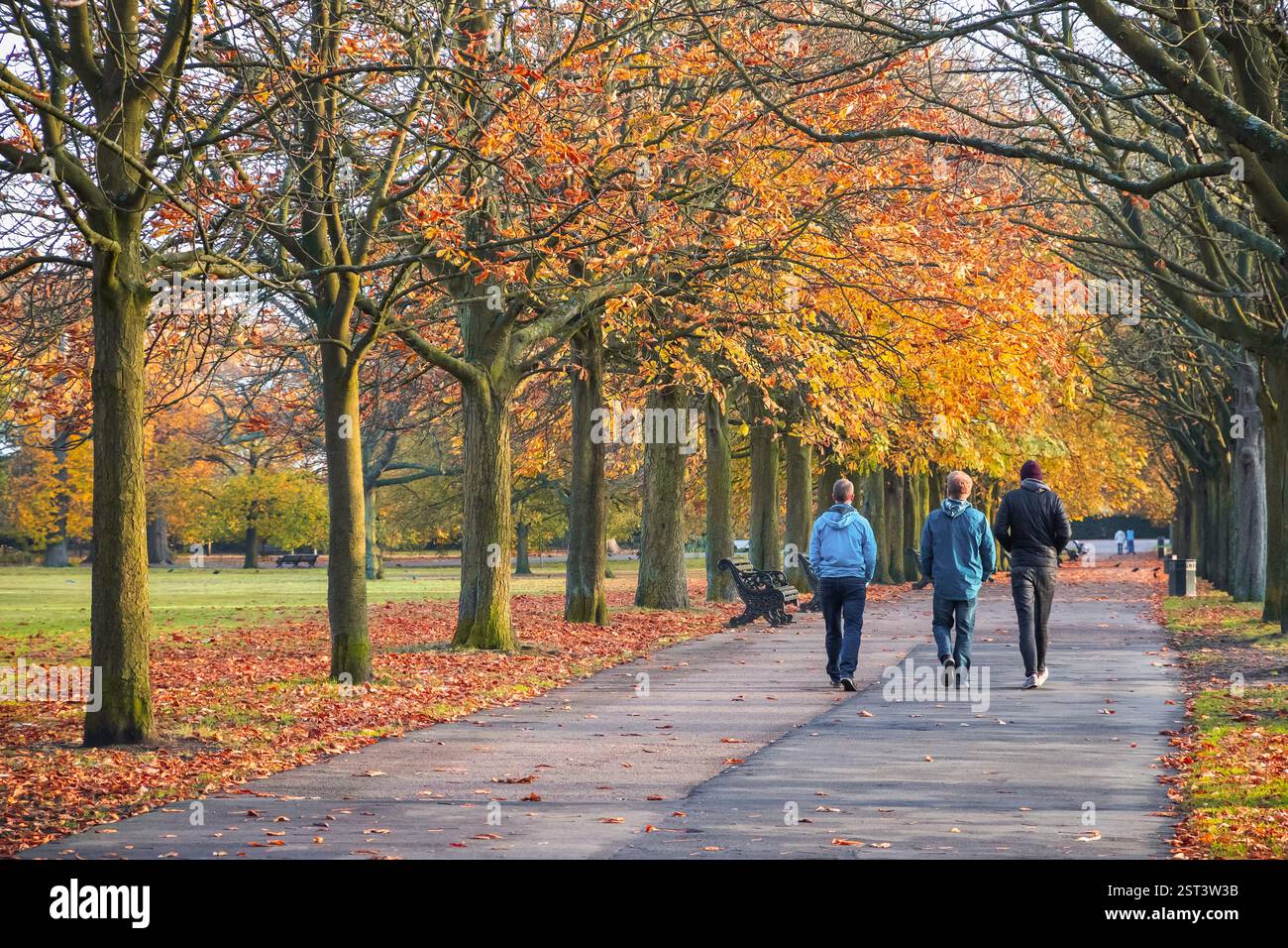 Trois amis se promenant sur un sentier arboré à Greenwich Hill à Londres en automne Banque D'Images