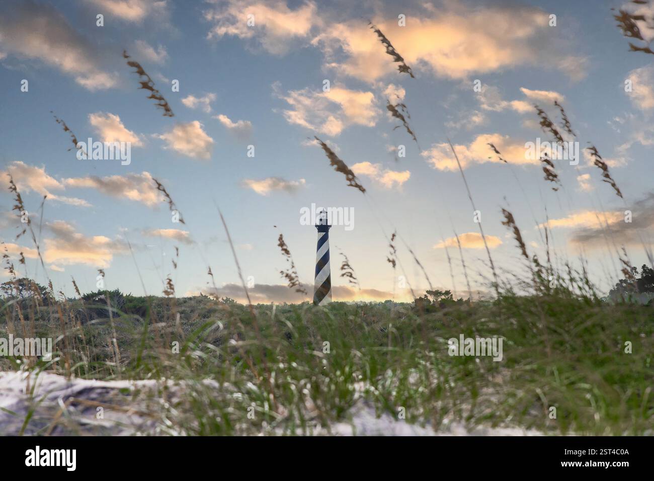 Phare de Cape Hatteras au coucher du soleil, encadré par l'herbe des dunes Banque D'Images
