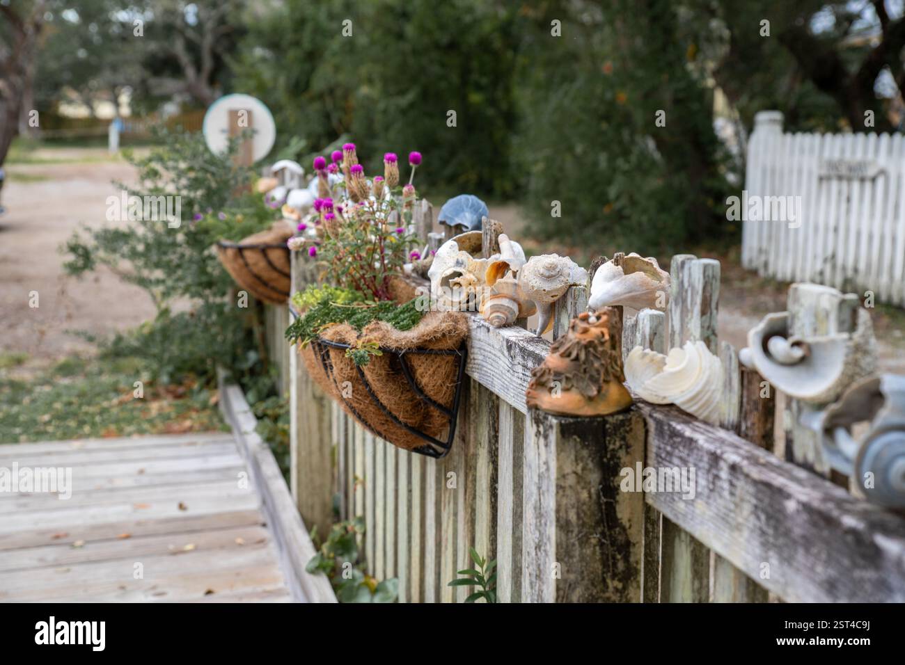 Une clôture en bois ornée de paniers de fleurs et de coquillages Banque D'Images