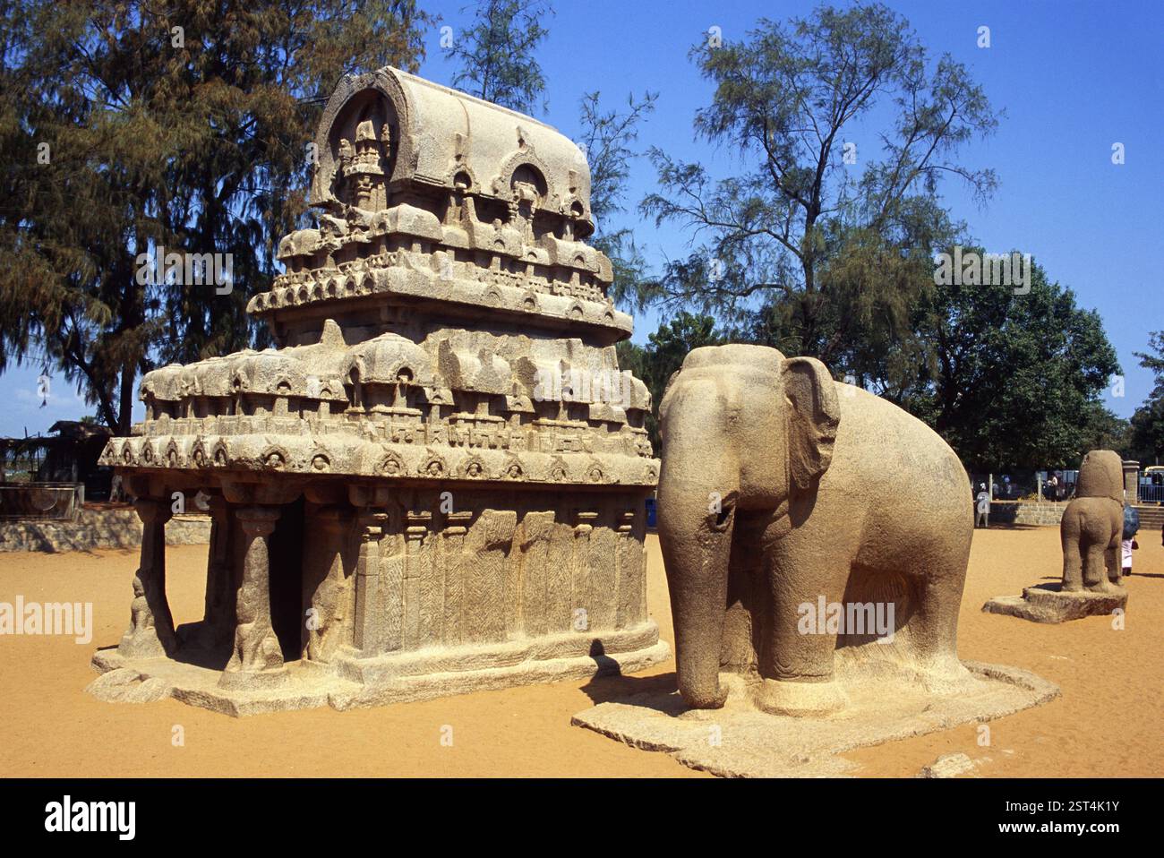 Cinq monolithiques et éléphant de Ratha, Mamallapuram, Tamil Nadu, Inde, Asie Banque D'Images