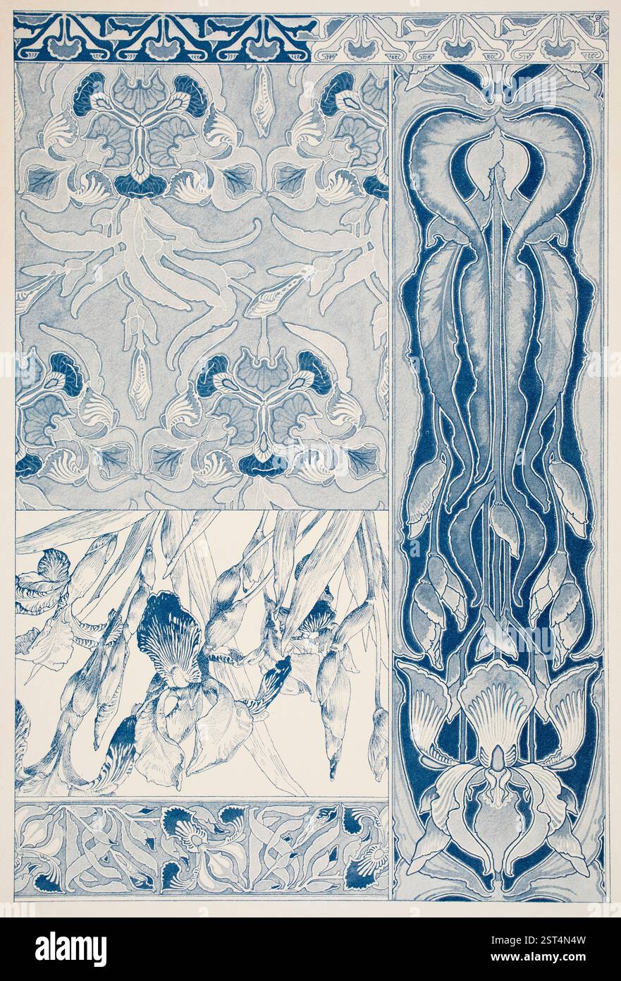 Schwertlilien (iris), illustrations monochromes à l'aquarelle demi-teinte de formes florales par le professeur d'art viennois Georg Sturm de Decorative Vorbilder Banque D'Images