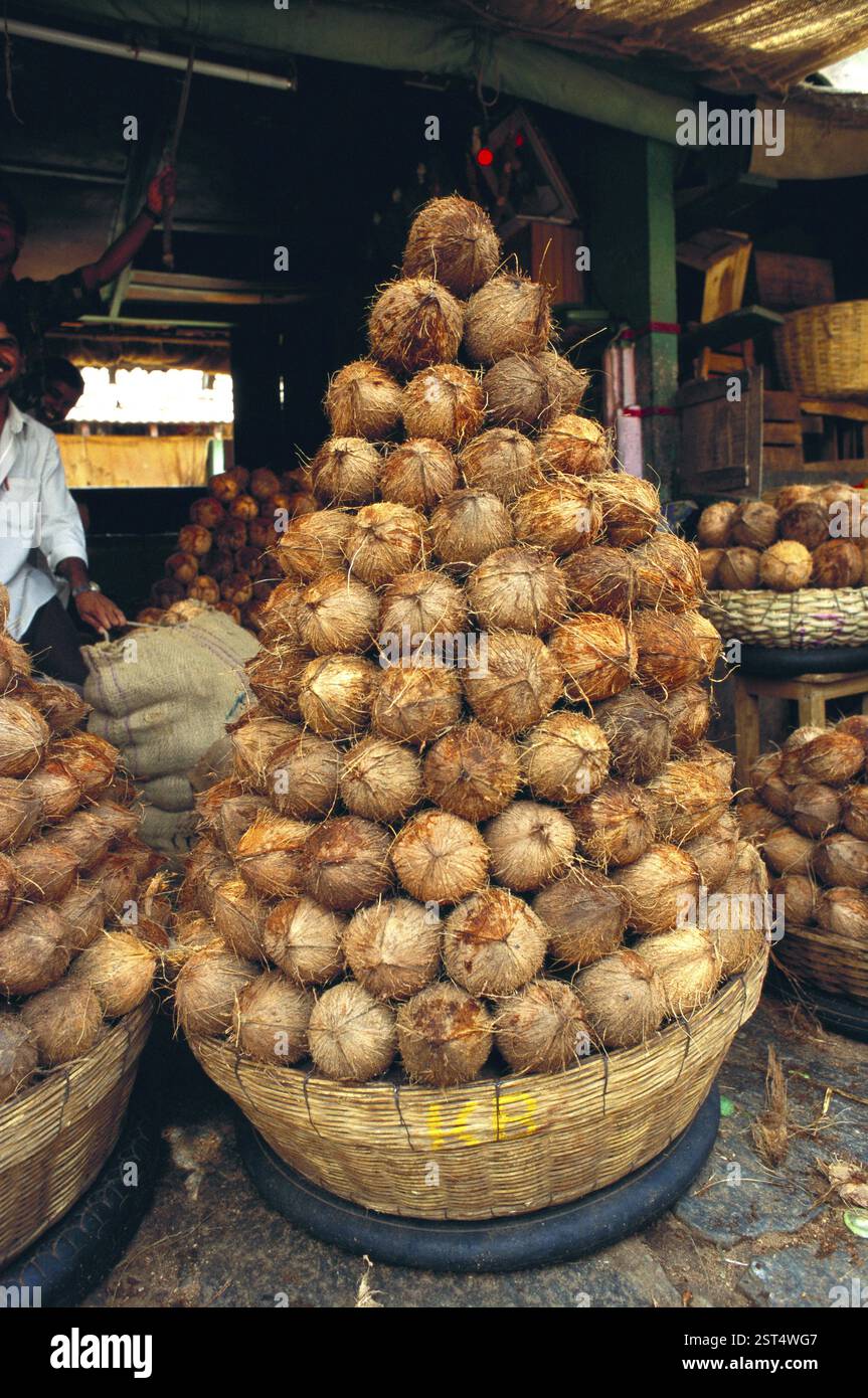 Noix de coco dans le marché de Mysore, Karnataka, Inde, Asie Banque D'Images