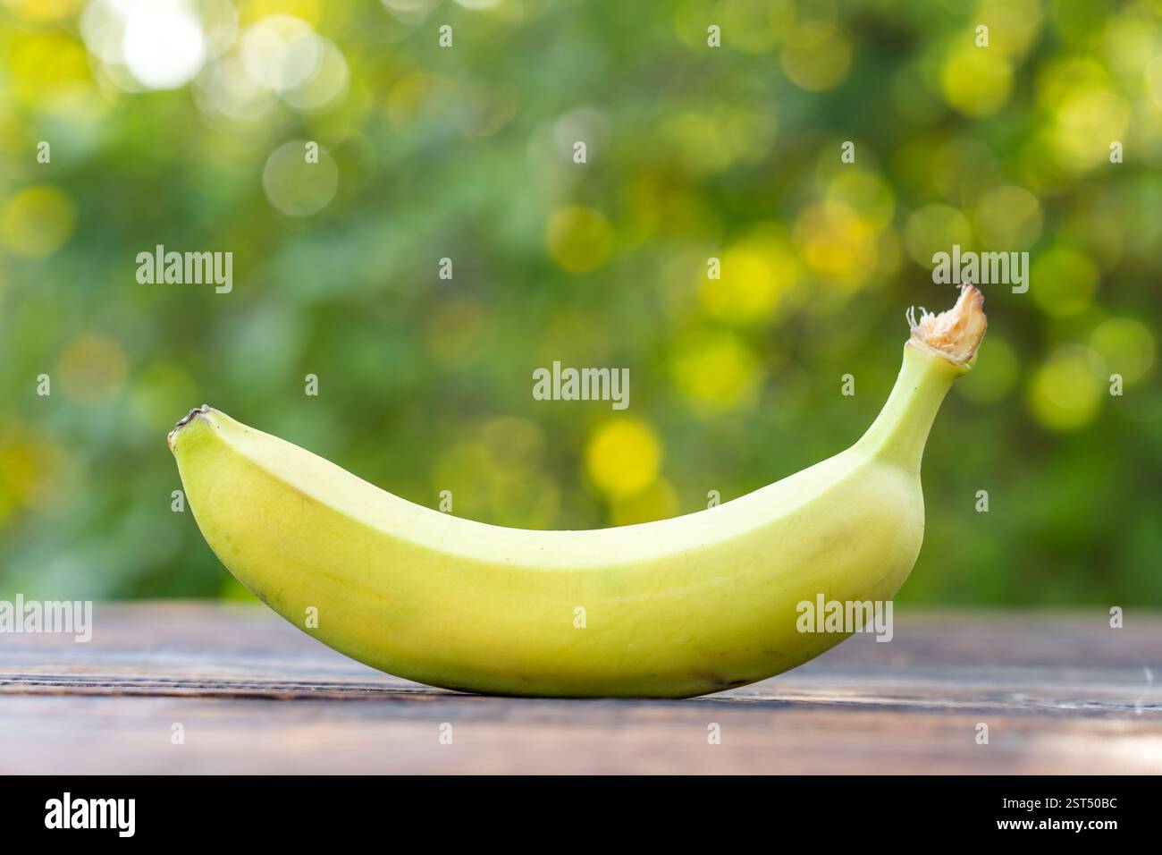 les bananes vertes sont encore faciles à fraicher sur une table en bois brun, fond vert Banque D'Images