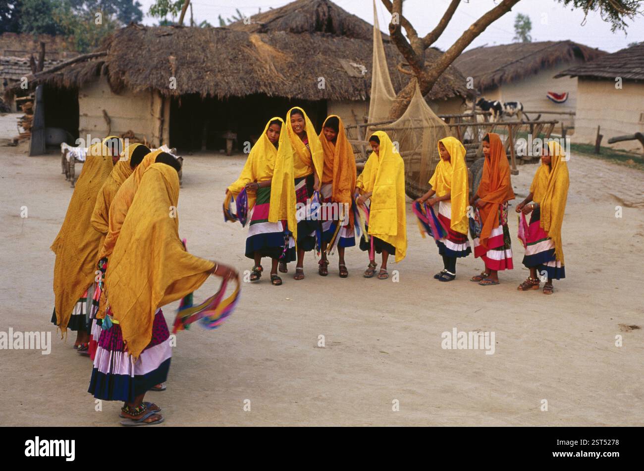 Danse tribale Tharu, célébration holi, dudwa, uttar pradesh, Inde, Asie Banque D'Images