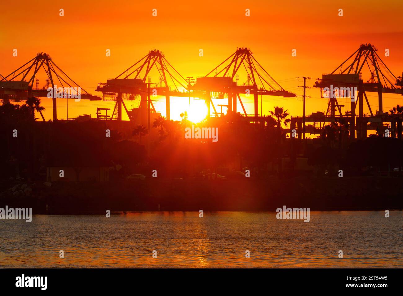 Long Beach, Californie - 11 janvier 2025 : superbe coucher de soleil derrière des grues portuaires à long Beach, Los Angeles. Banque D'Images
