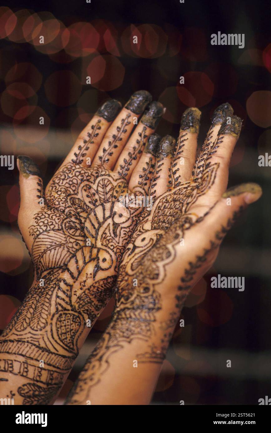 Le Mehndi mariée part palm, handmade design, Inde Banque D'Images
