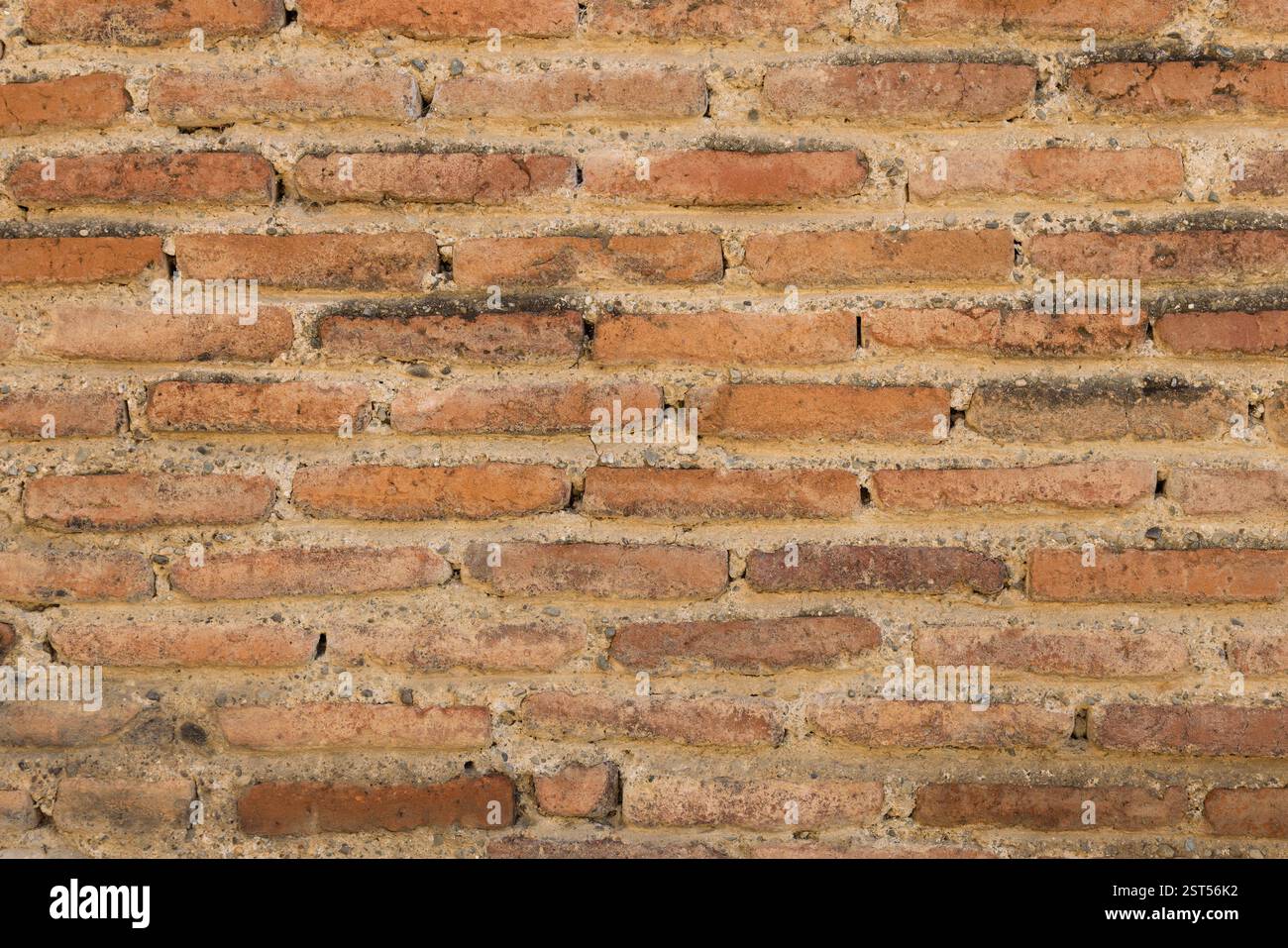 Un arrière-plan à motifs d'un mur de briques rouges avec des carreaux de céramique affichant des dessins détaillés Banque D'Images