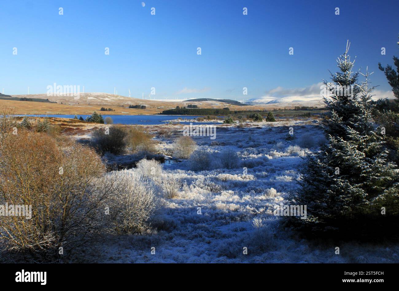 Galloway Forest Park - Écosse Banque D'Images