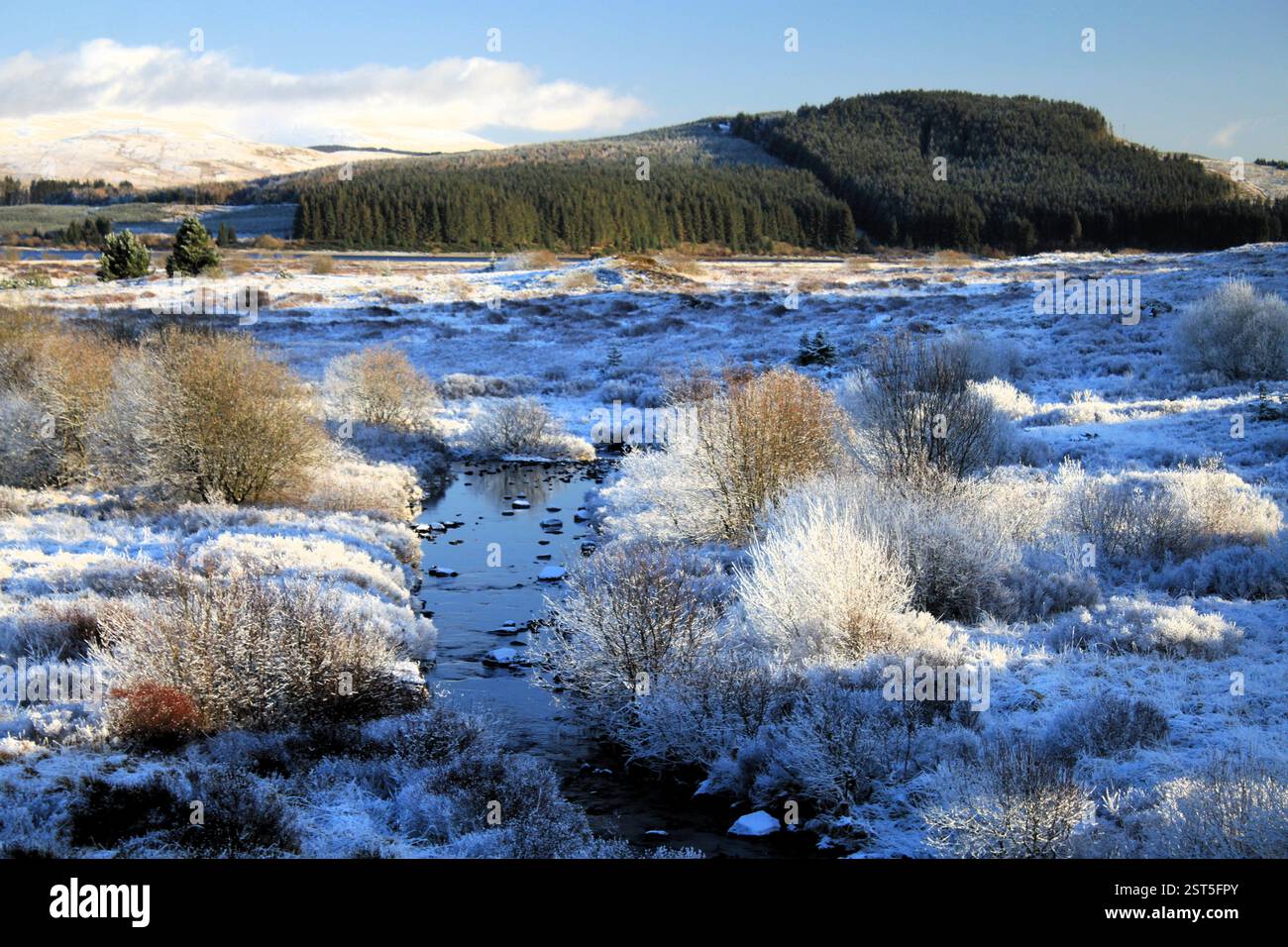 Galloway Forest Park - Écosse Banque D'Images