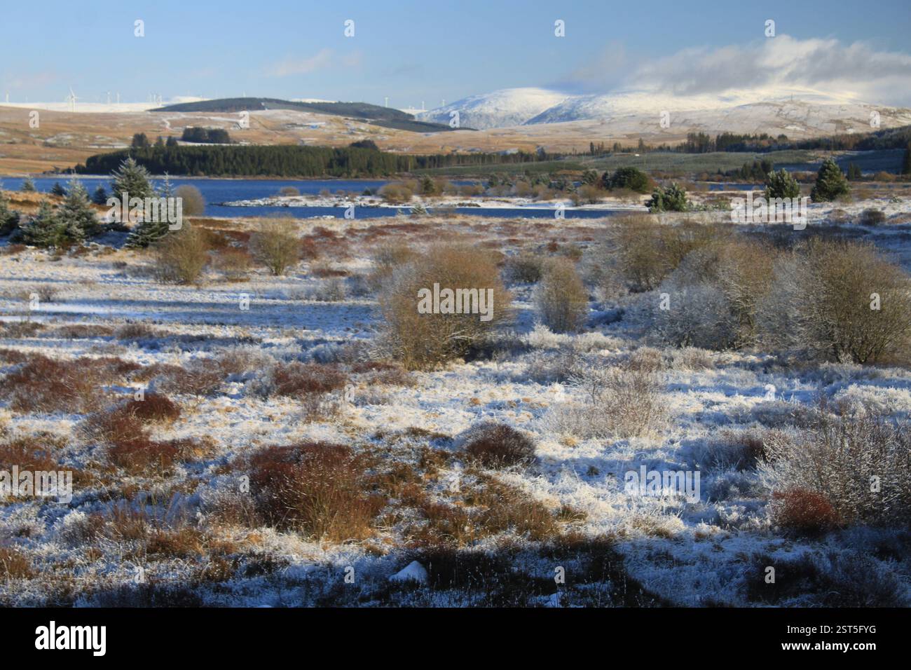 Galloway Forest Park - Écosse Banque D'Images