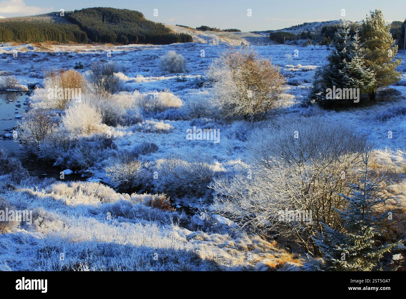 Galloway Forest Park - Écosse Banque D'Images