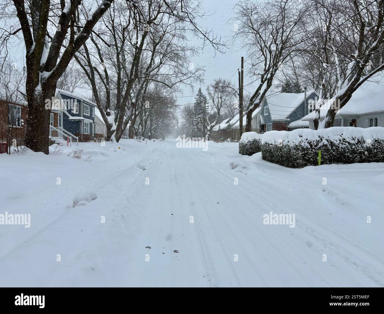 Après la tempête, une rue tranquille de banlieue recouverte de neige - Image de stock capturée avec un smartphone