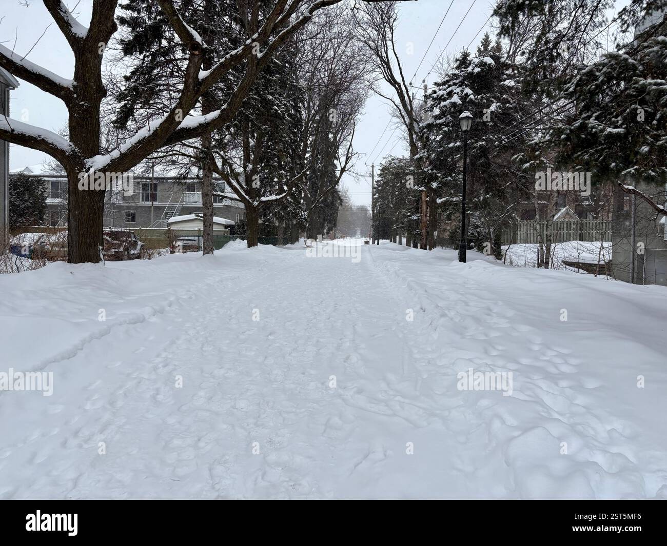 Les chutes de neige transforment la rue de banlieue en un pays des merveilles hivernales - Image de stock capturée avec un smartphone