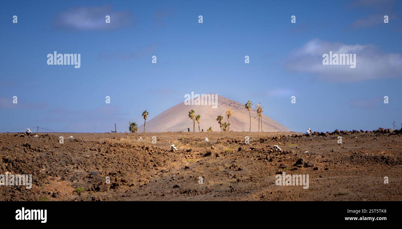 Vue sur la campagne près de Puerto del Carmen, Lanzarote, Îles Canaries, Espagne. Banque D'Images