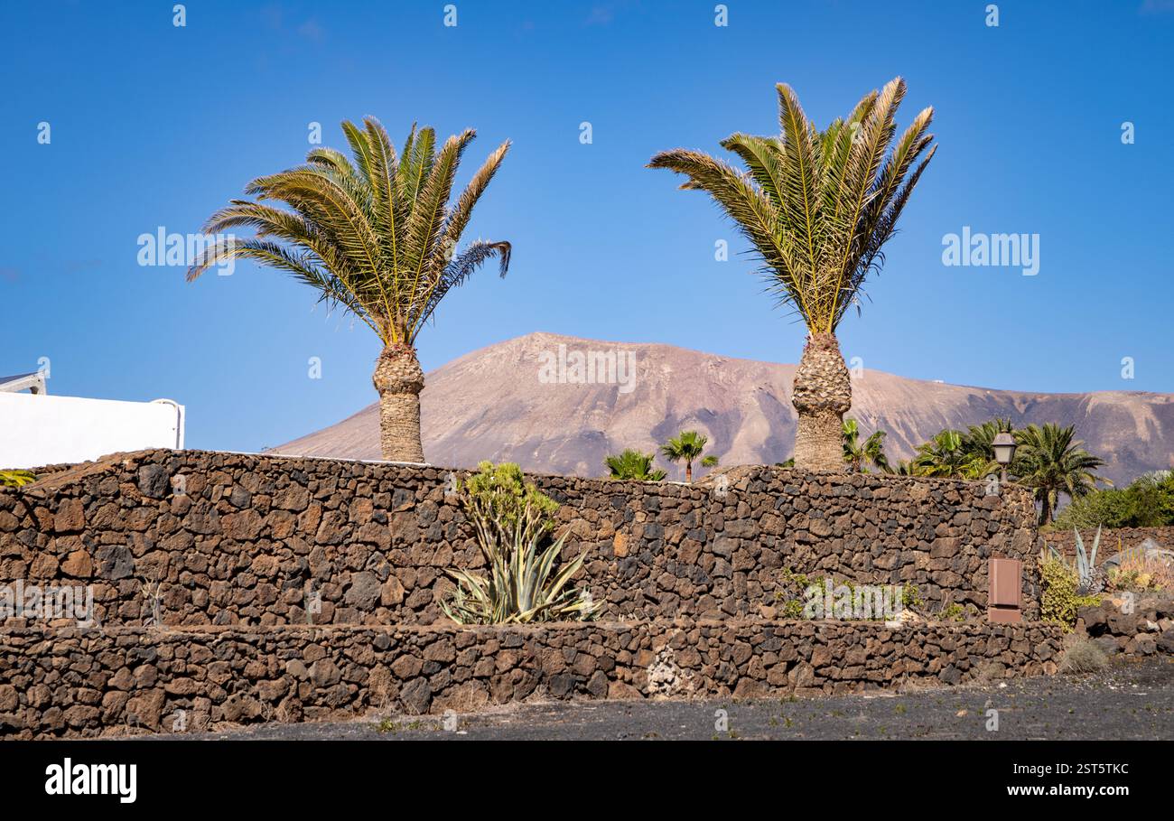 Vue sur la campagne près de Puerto del Carmen, Lanzarote, Îles Canaries, Espagne. Banque D'Images