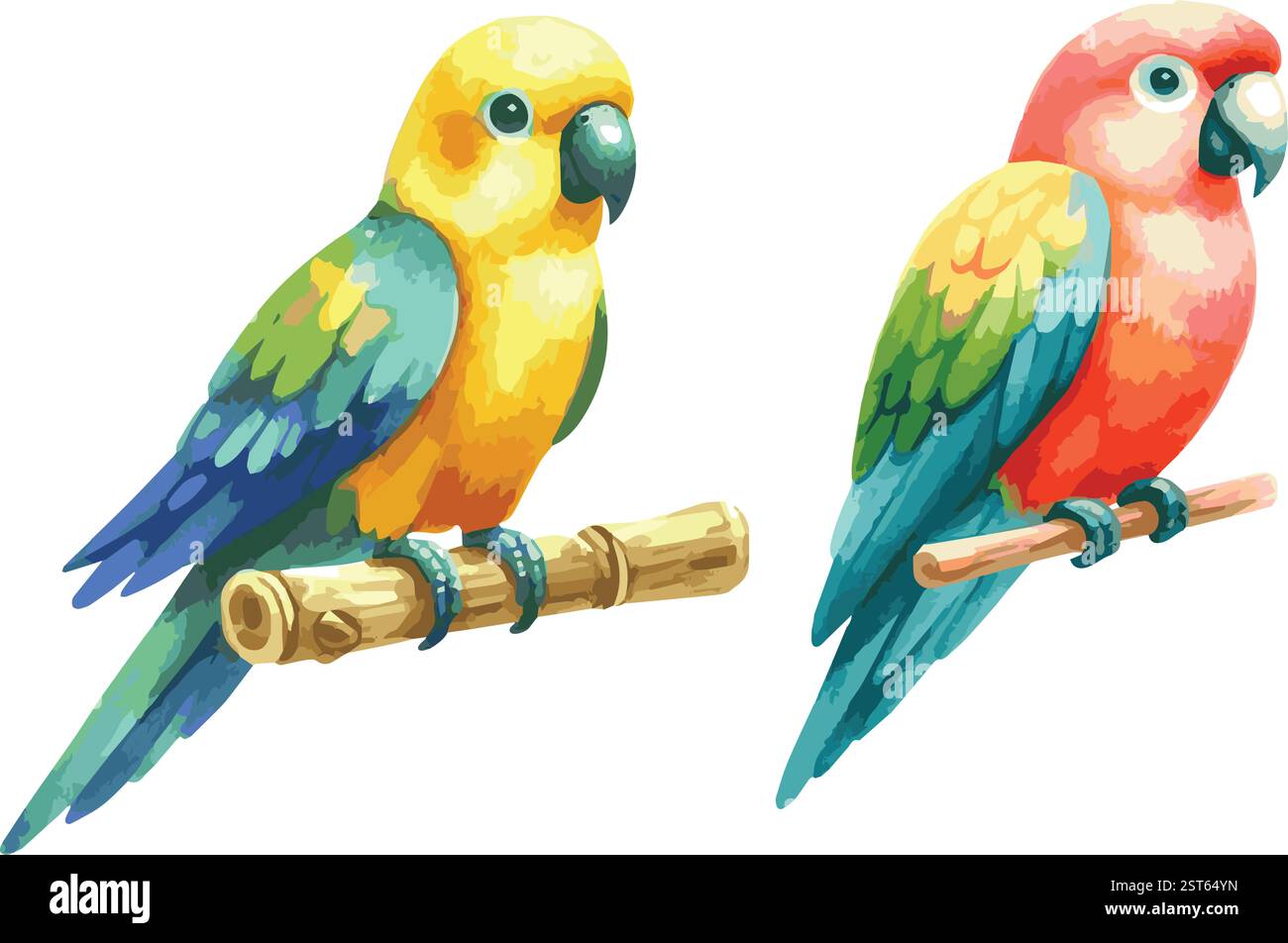 Ensemble d'illustrations vectorielles d'aquarelle d'un deux perroquets colorés adorables Illustration de Vecteur