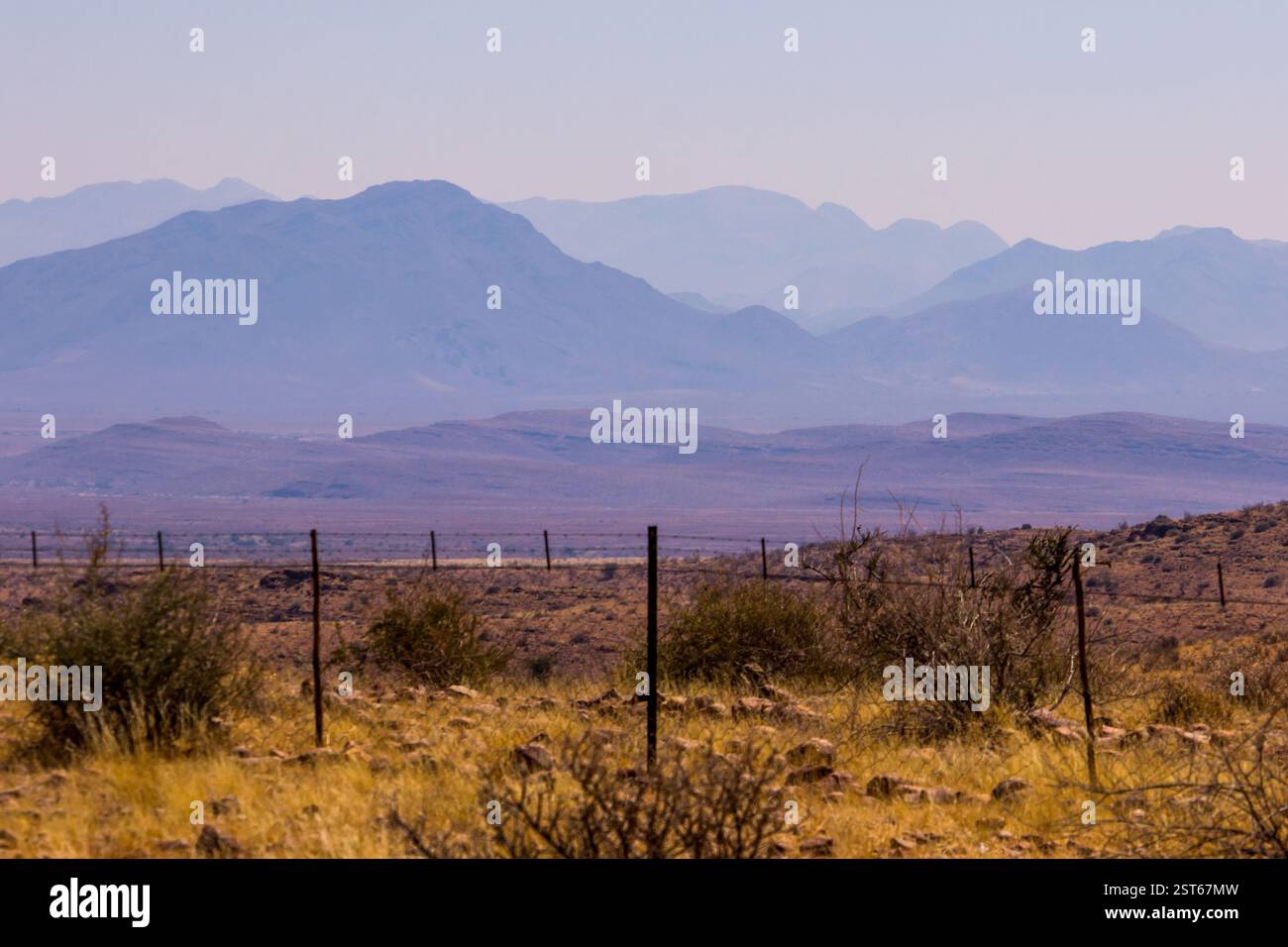 Les montagnes de Naukluft, bleues au loin avec les arbustes arides de Namibie dans la province de Hardap au premier plan, Banque D'Images