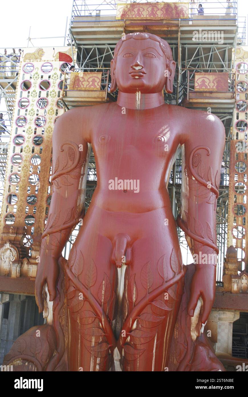Les dévots jaïn versant de l'eau Vermillon sur la tête de la statue monolithique de 58,8 pieds de jaïn saint Gomateshwara (Seigneur Bahubali) dans Mahamastakabhisheka (h Banque D'Images