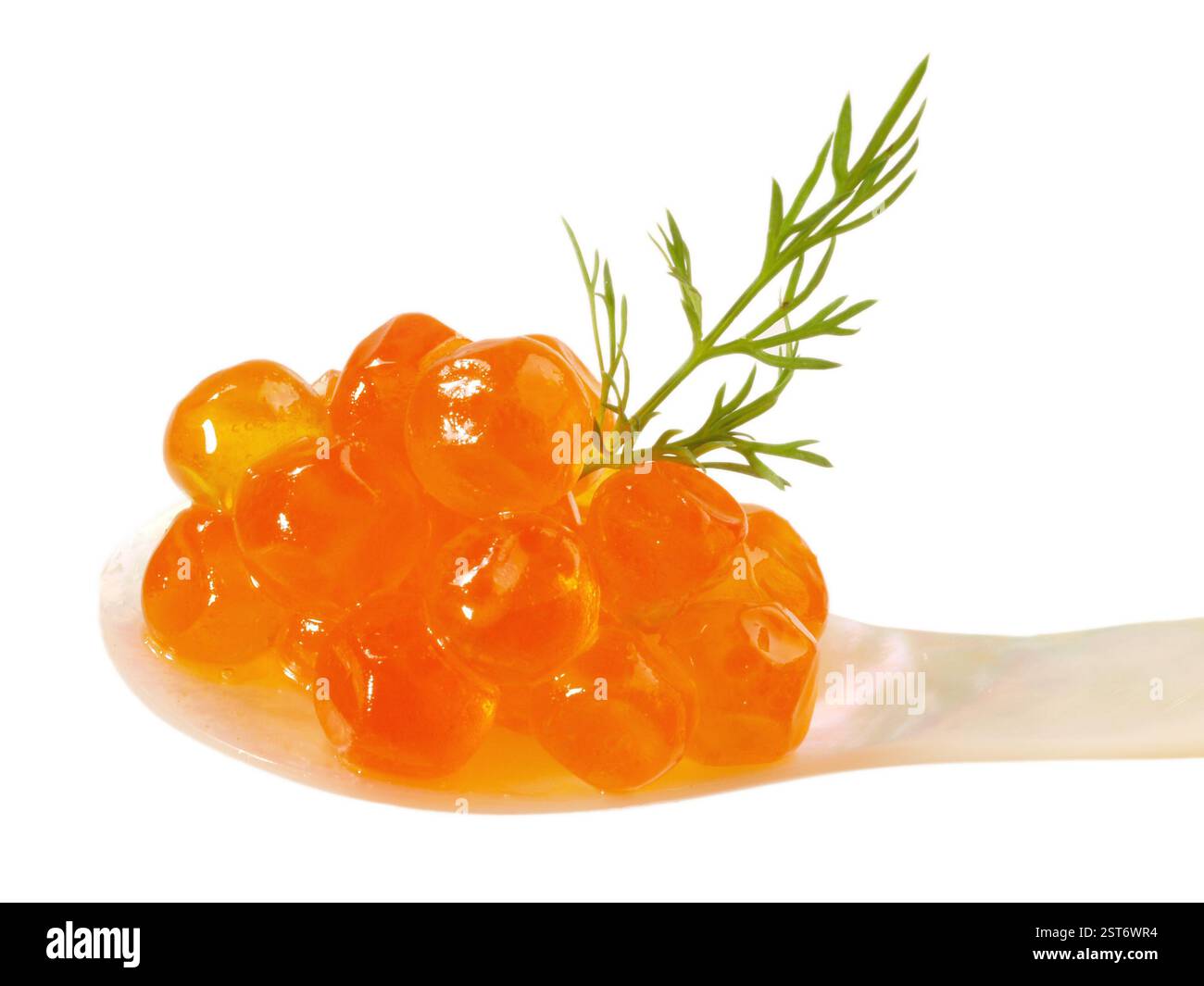 Saumon Caviar sur fond blanc Banque D'Images