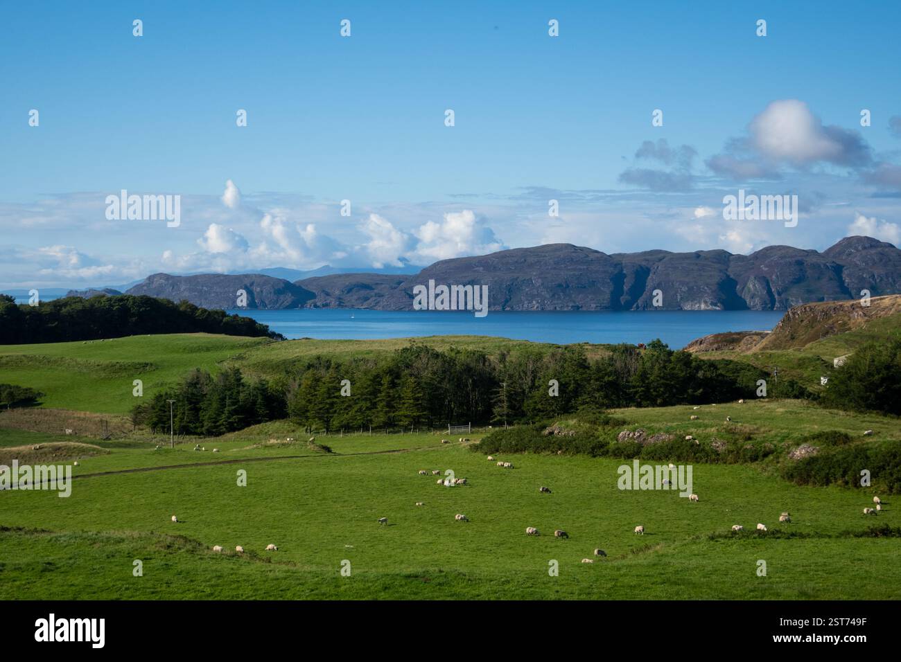 Glengorm, île de Mull, Hébrides intérieures, Écosse, Royaume-Uni Banque D'Images