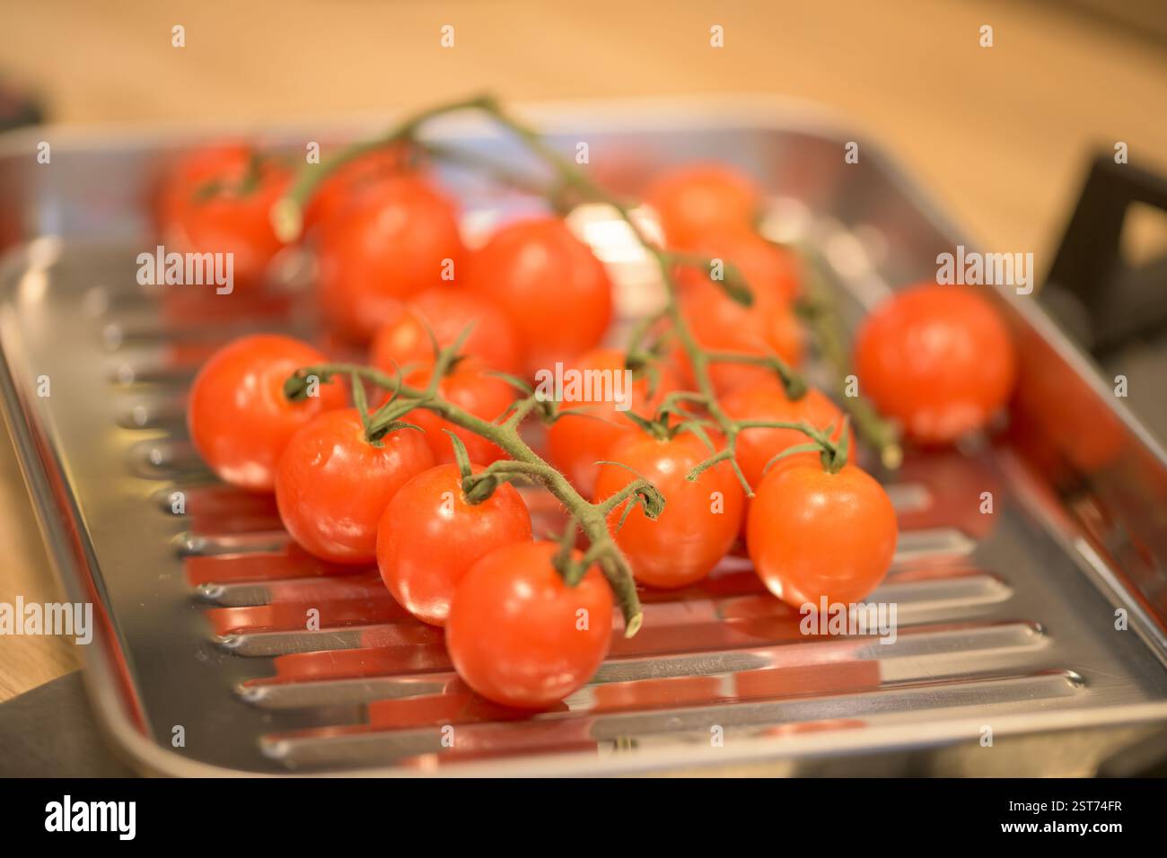 Un groupe de tomates cerises vibrantes sur la vigne avec des tiges affichées sur un plateau de cuisson en aluminium argenté réfléchissant, fraîcheur et alimentation saine. Banque D'Images