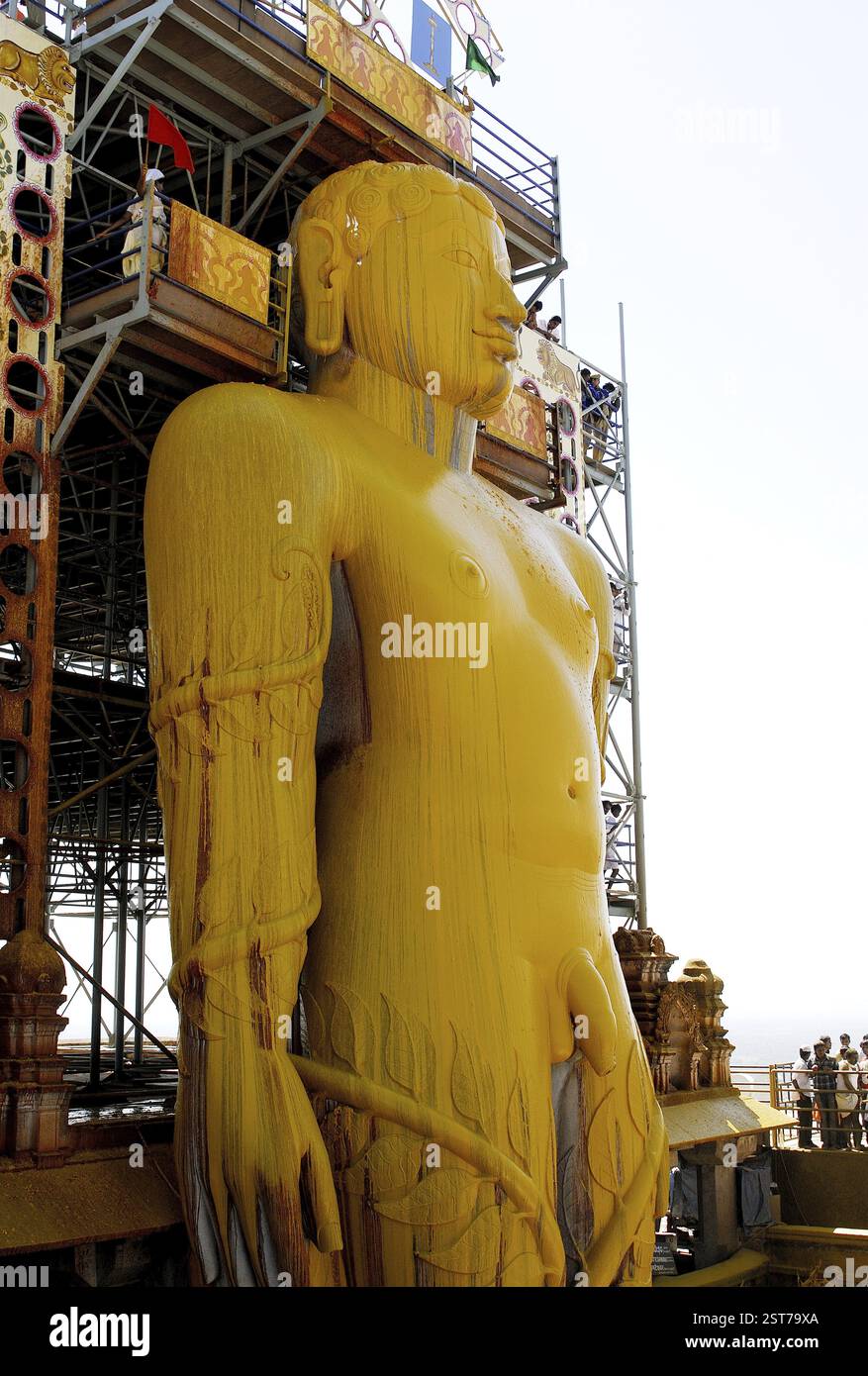 Les dévots jaïn versant de l'eau curcuma sur la tête du front de 58,8 pieds monolithique Statue de jaïn saint Gomateshwara (Seigneur Bahubali) dans Mahamastakabhisheka Banque D'Images