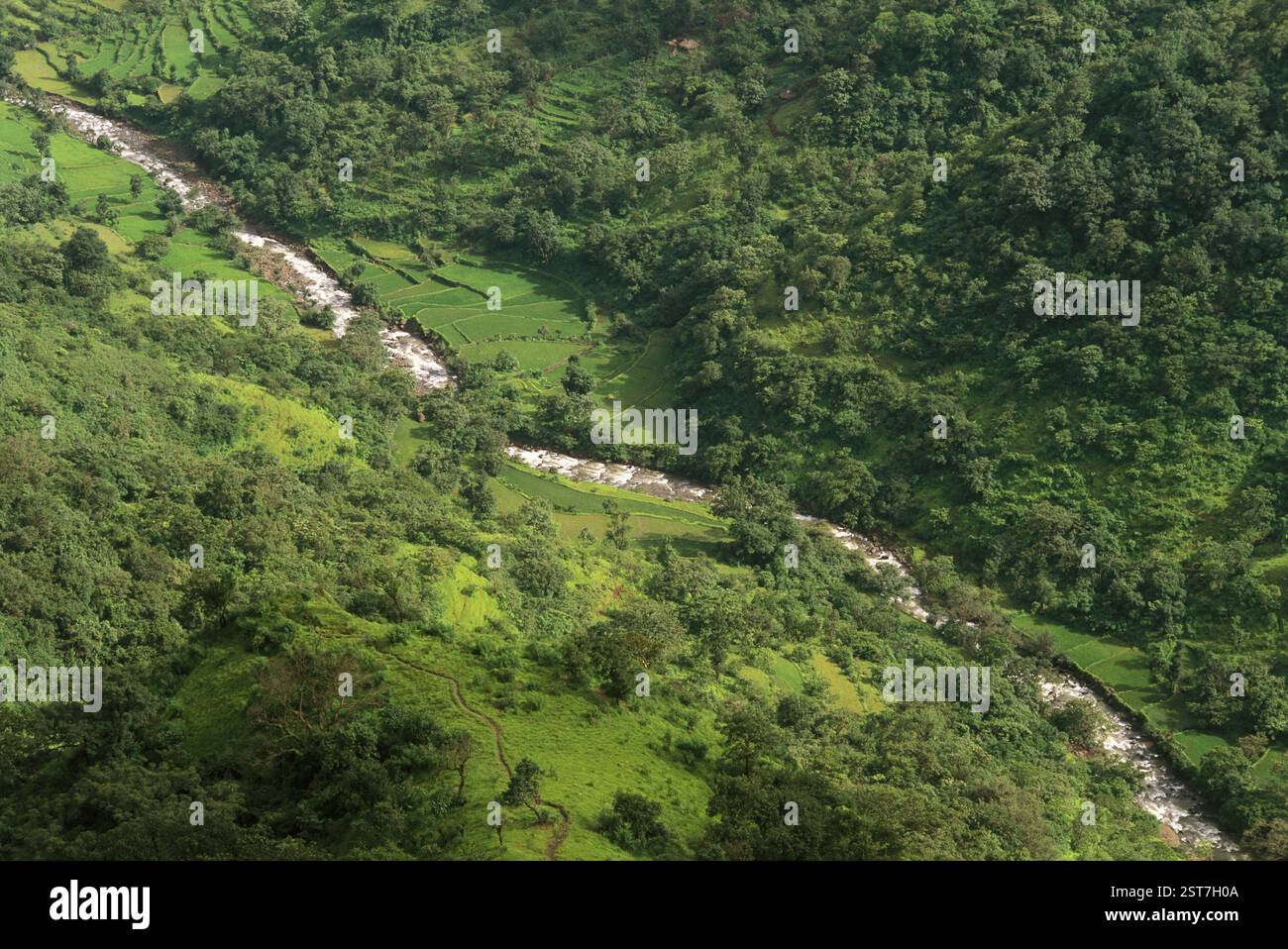 River Flowing, coorg, karnataka, inde Banque D'Images