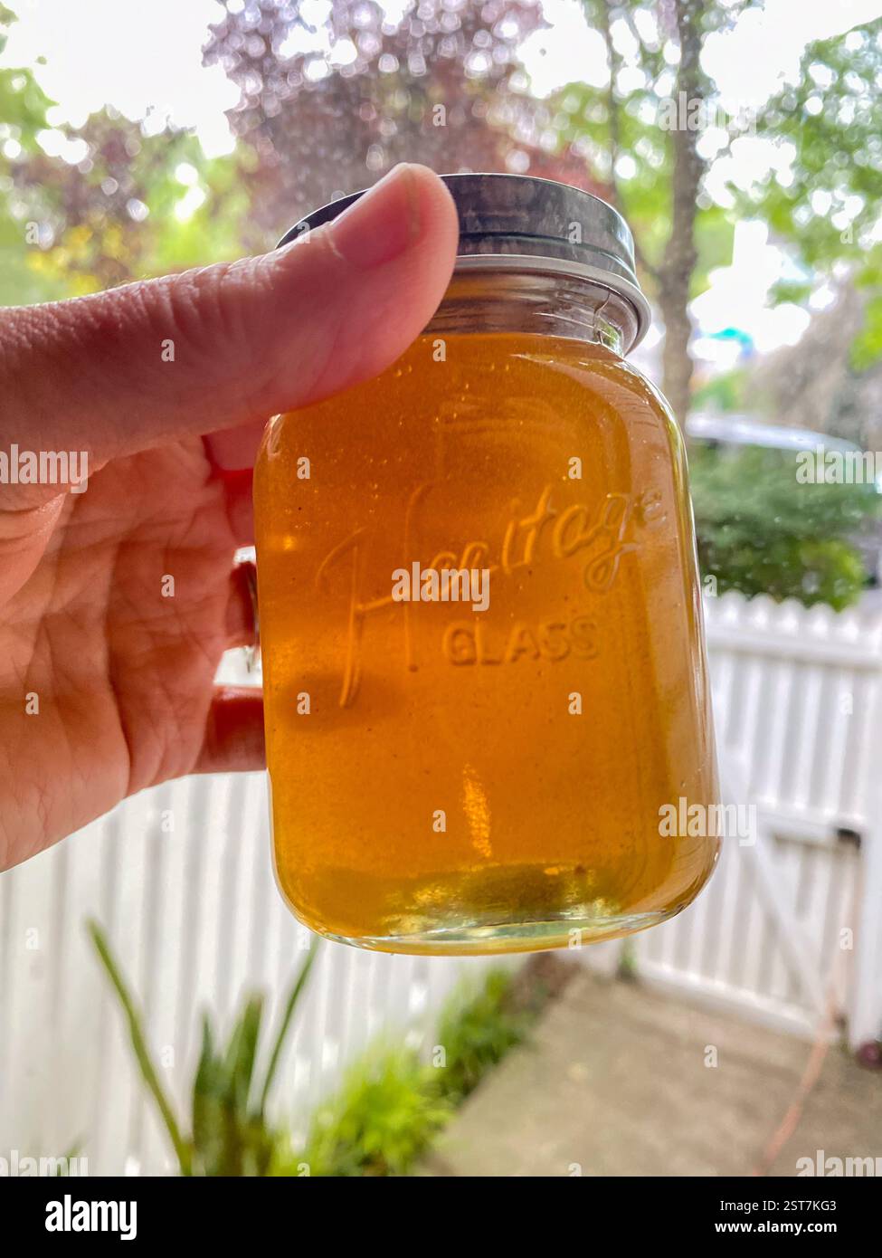 Des bocaux en verre remplis de miel et de peigne laissés après qu'une grande ruche d'abeilles a été enlevée des murs d'une maison. Banque D'Images