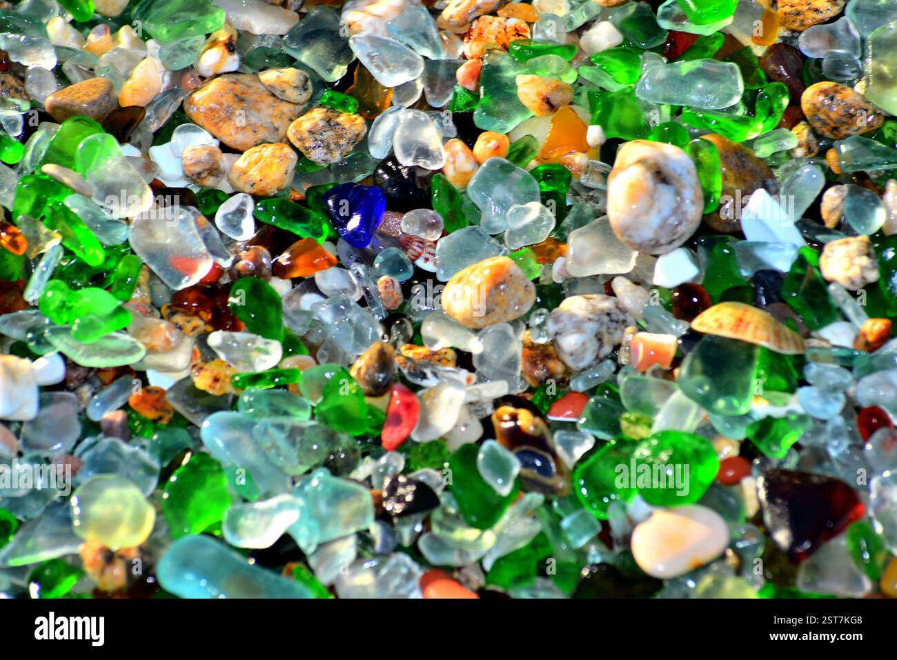 Papier peint en verre de mer multicolore Banque D'Images Papier peint en verre de mer multicolore Banque D'Images