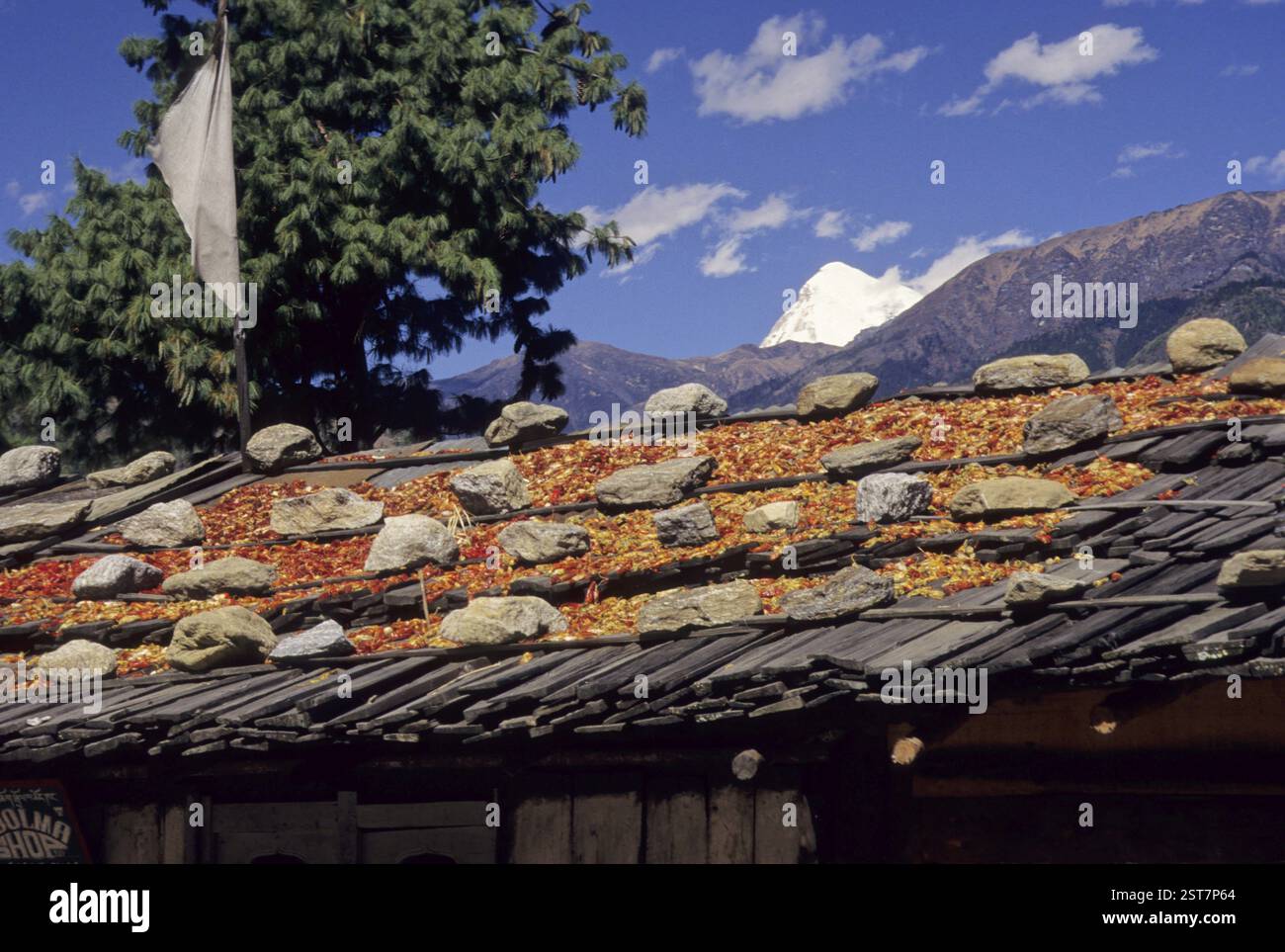 Sur le toit, d'un séchage froid rouge Banque D'Images
