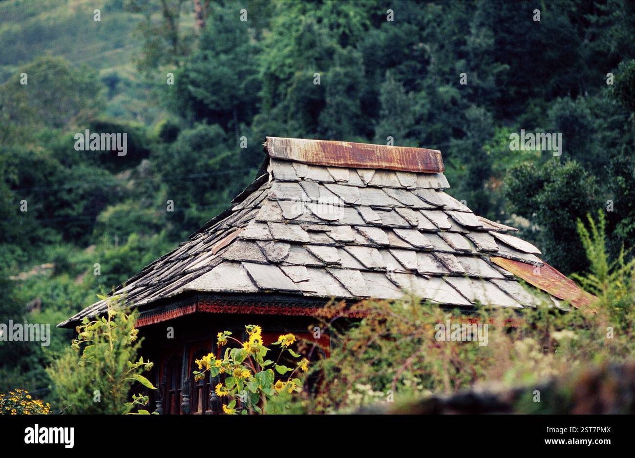 Vieux toit en pierre, Sarhan, Himachal Pradesh, Inde, Asie Banque D'Images