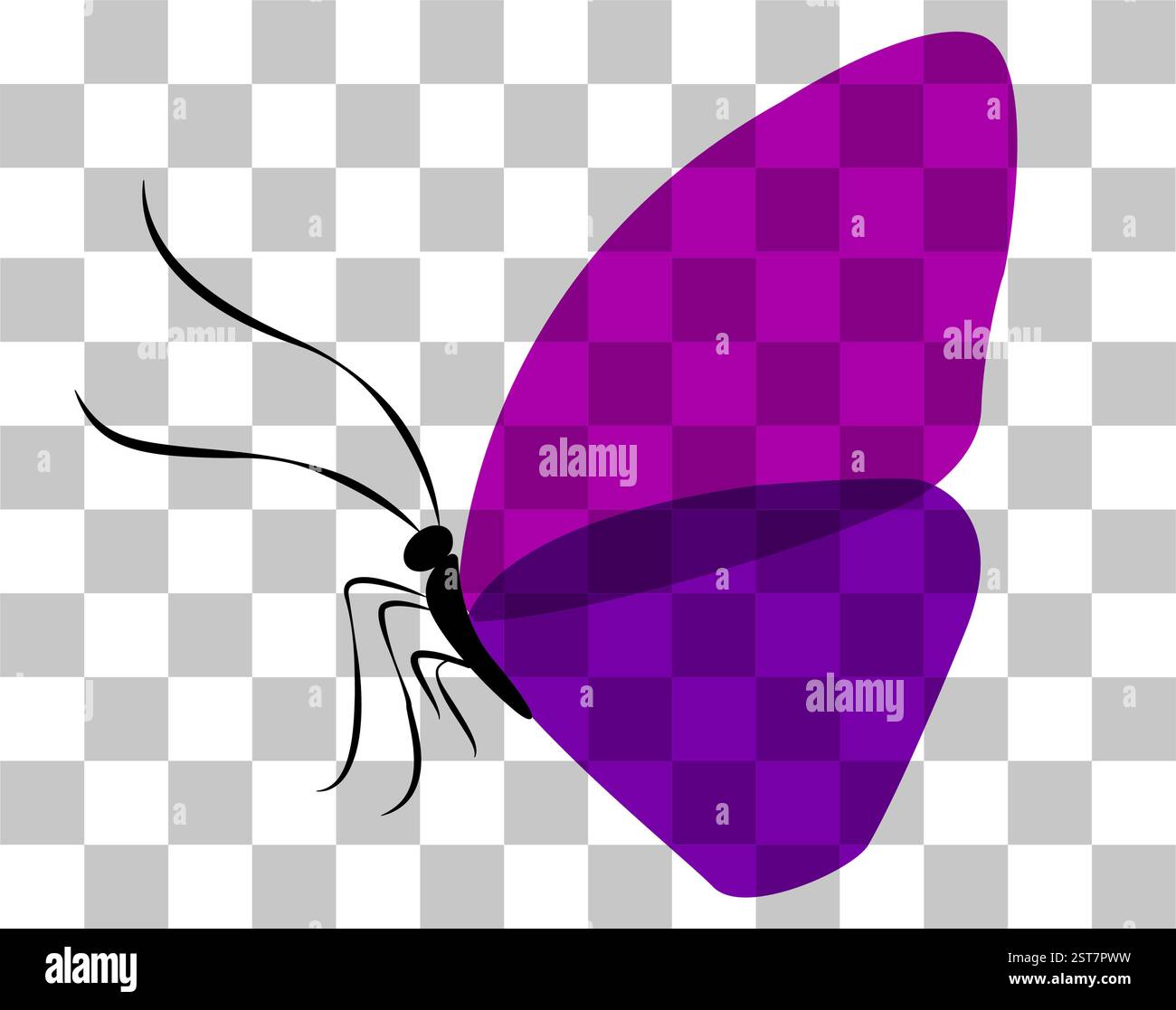 Conception de papillon vectoriel coloré avec fond transparent et structure d'aile détaillée vue de côté Illustration de Vecteur
