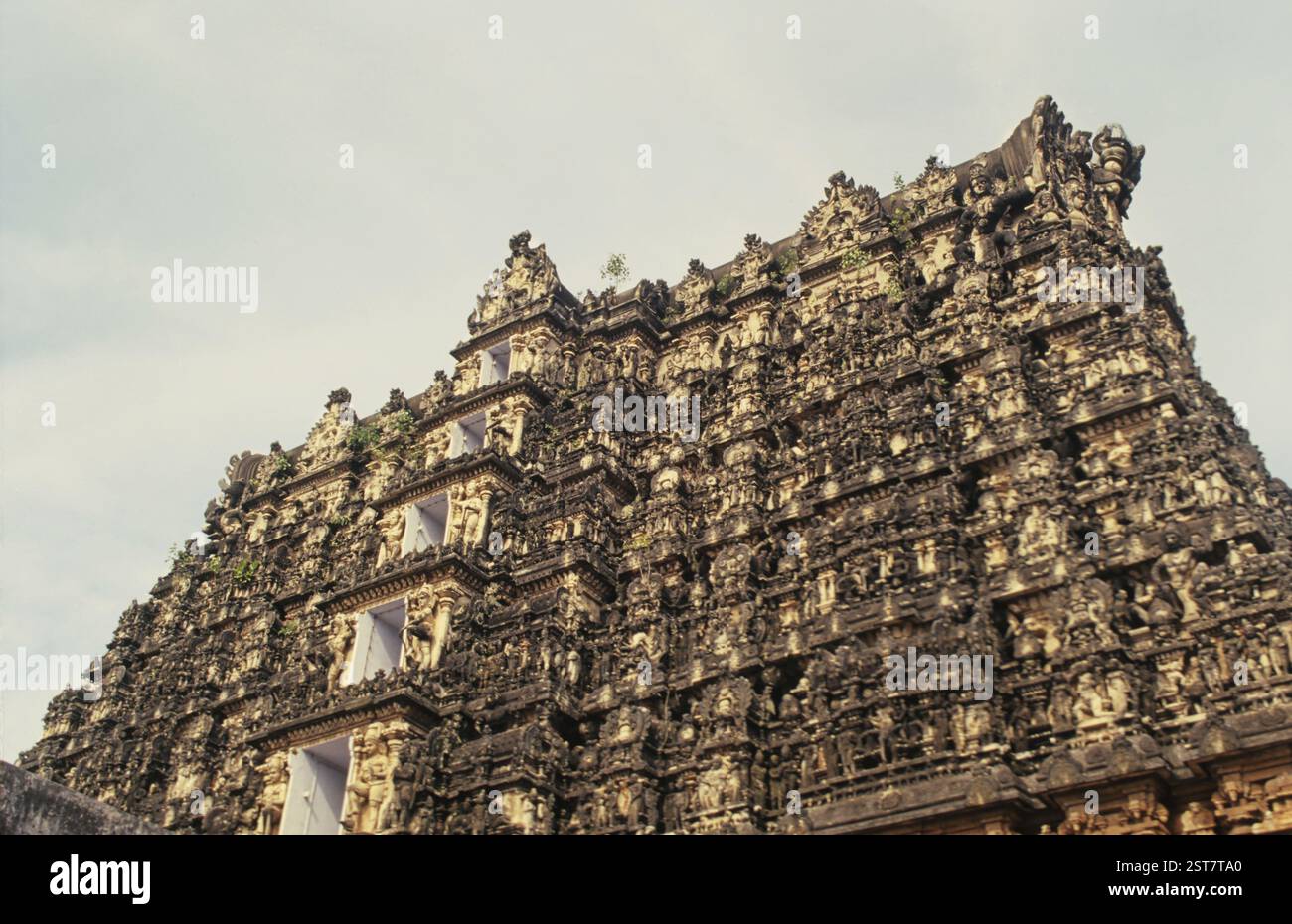 Tour du temple Sri Padmanabhaswamy, Thiruvananthapuram ou Trivandrum, Kerala, Inde, Asie Banque D'Images