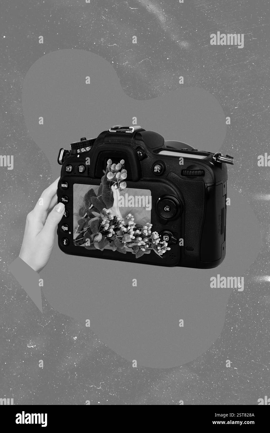 Image de collage vertical de bras tenir photo appareil photo photographier des fleurs fraîches isolées sur l'arrière-plan du dessin Banque D'Images
