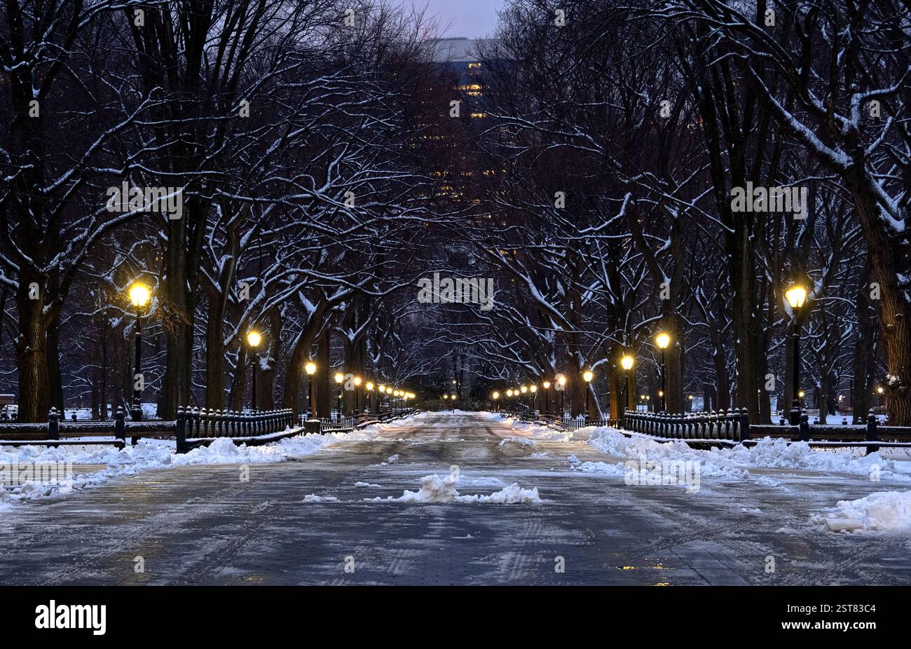 Le Mall à Central Park, New York City, tôt le matin après la tempête de neige Banque D'Images